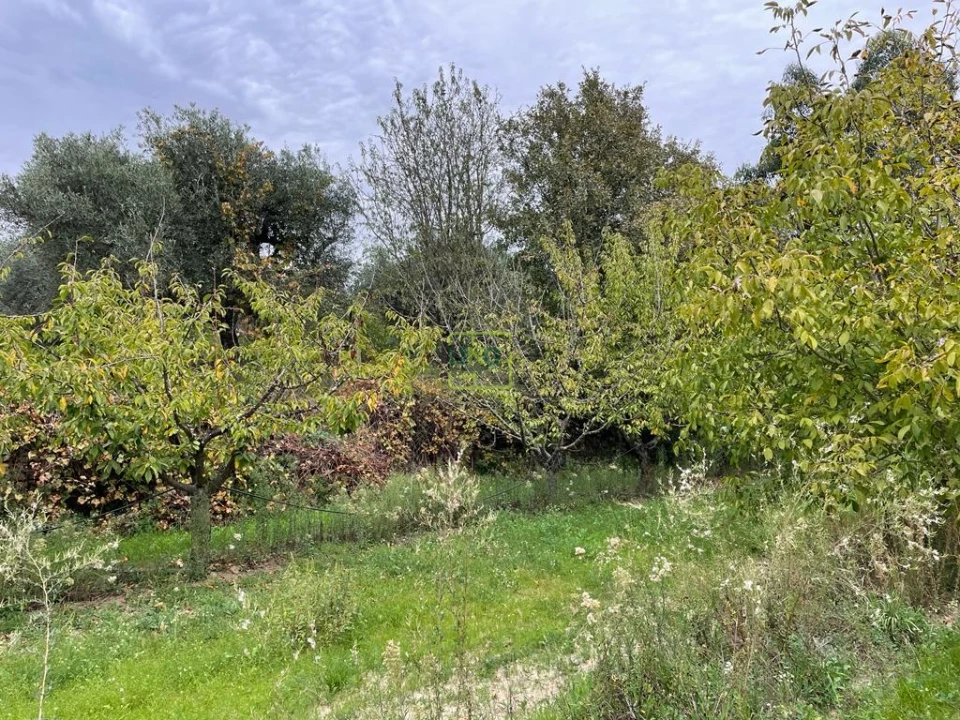 Quinta T1 para Venda em Capinha Foto 40