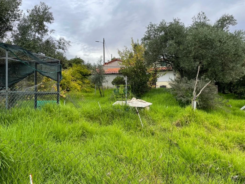 Quinta T1 para Venda em Capinha Foto 84