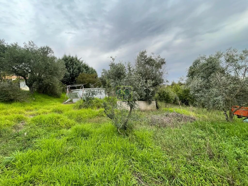 Quinta T1 para Venda em Capinha Foto 81