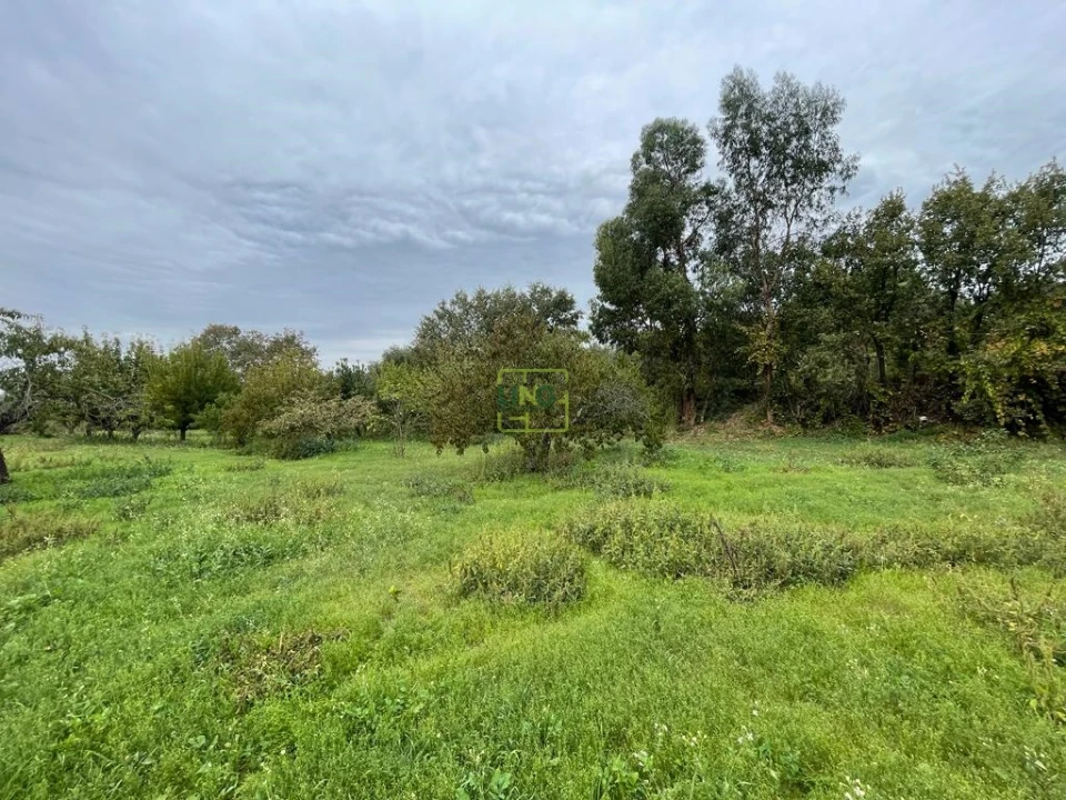 Quinta T1 para Venda em Capinha Foto 61