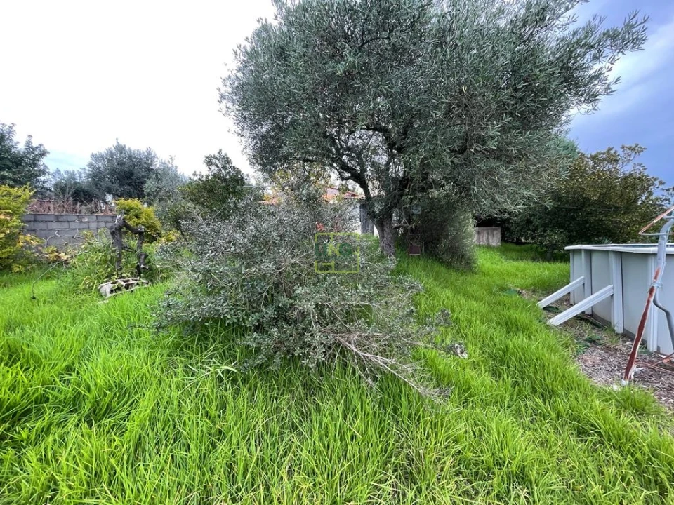 Quinta T1 para Venda em Capinha Foto 87