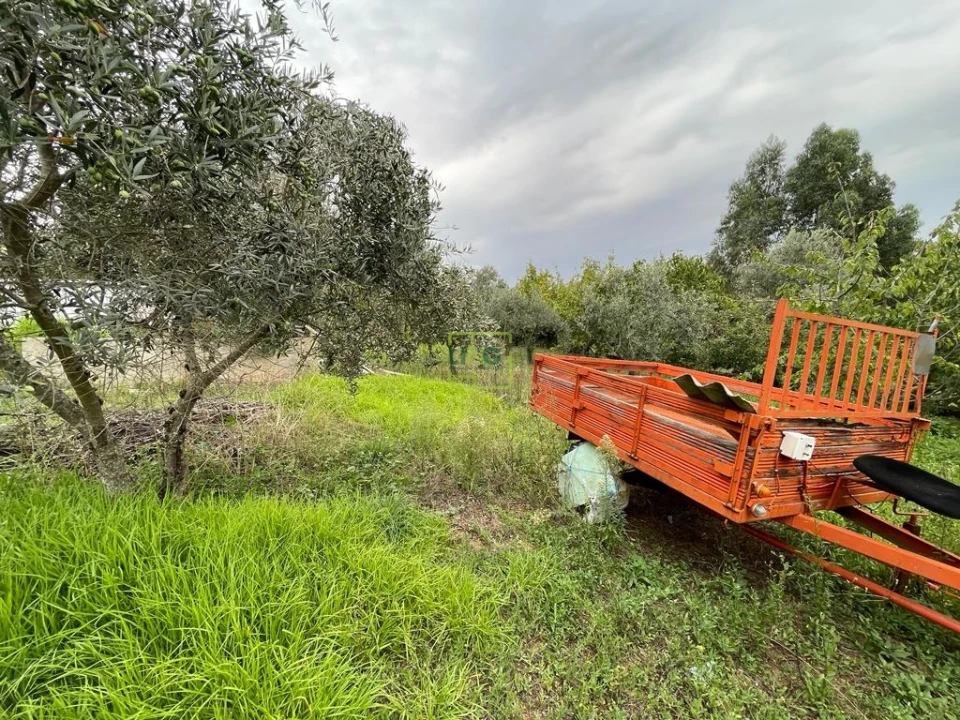 Quinta T1 para Venda em Capinha Foto 80