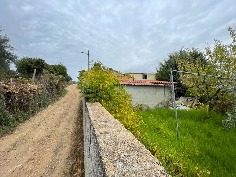 Quinta T1 para Venda em Capinha Foto 94