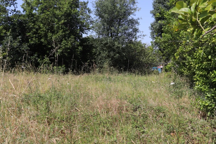 Terreno para Venda em São Tomé de Negrelos Foto 4