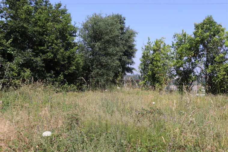Terreno para Venda em São Tomé de Negrelos Foto 5