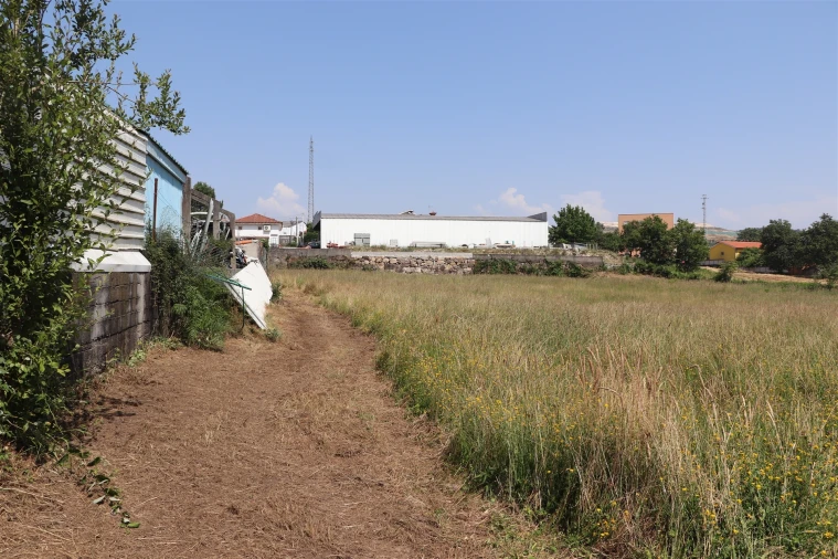 Terreno para Venda em Lustosa e Barrosas (Santo Estêvão) Foto 6