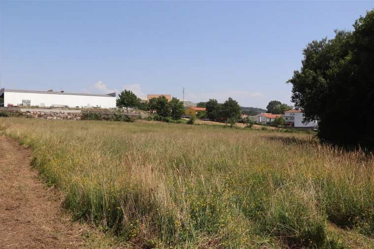 Terreno para Venda em Lustosa e Barrosas (Santo Estêvão) Foto 7