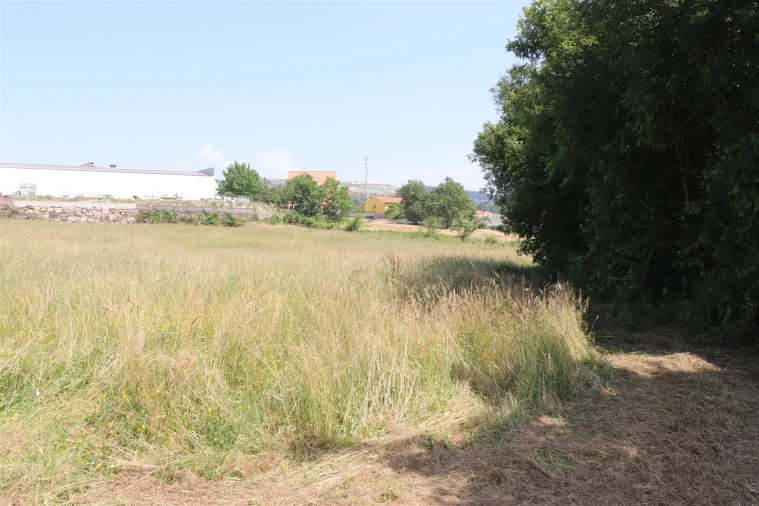 Terreno para Venda em Lustosa e Barrosas (Santo Estêvão) Foto 5