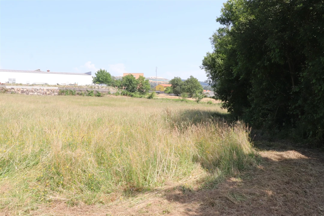 Terreno para Venda em Lustosa e Barrosas (Santo Estêvão) Foto 5