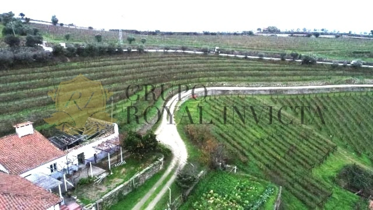 Quinta T4 para Venda em Fontelas Foto 33