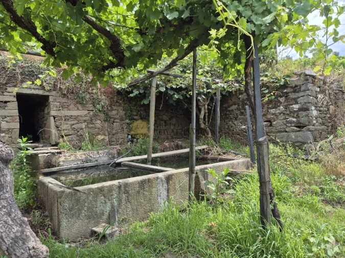 Quinta T4 para Venda em Fontelas Foto 25