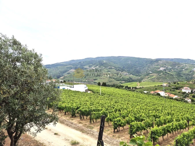 Quinta T4 para Venda em Fontelas Foto 27