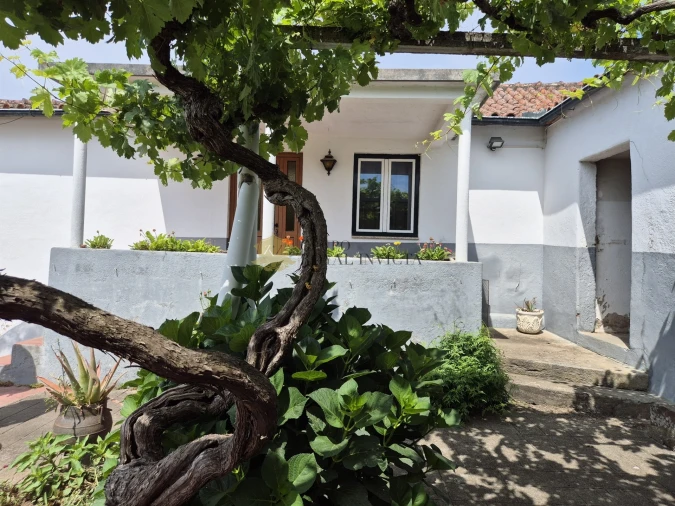 Quinta T4 para Venda em Fontelas Foto 5