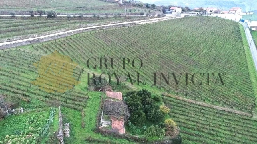 Quinta T4 para Venda em Fontelas Foto 34