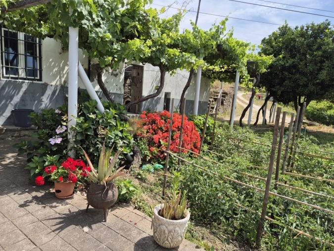 Quinta T4 para Venda em Fontelas Foto 16