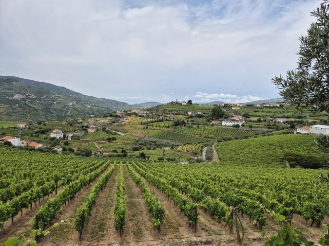 Quinta T4 para Venda em Fontelas Foto 28