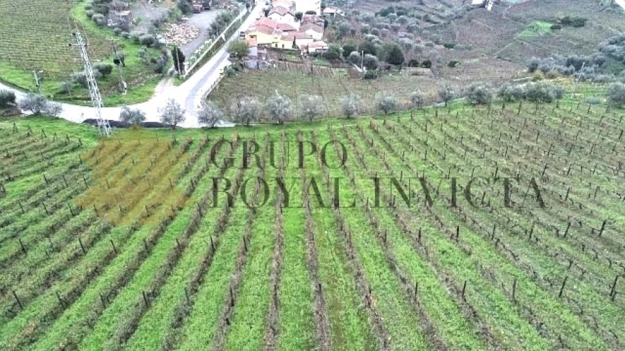 Quinta T4 para Venda em Fontelas Foto 30