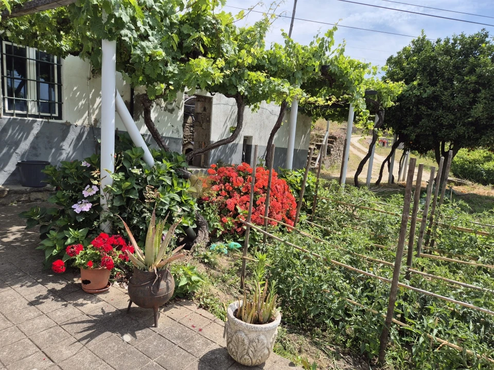 Quinta T4 para Venda em Fontelas Foto 16