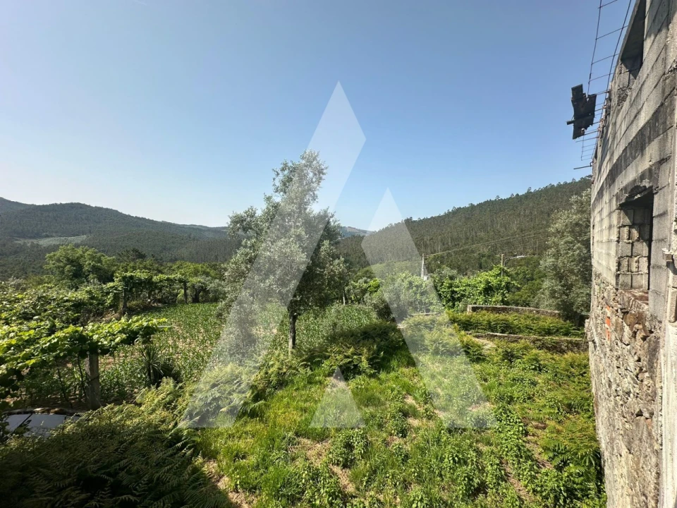 Moradia T2 para Venda em Talhadas Foto 17