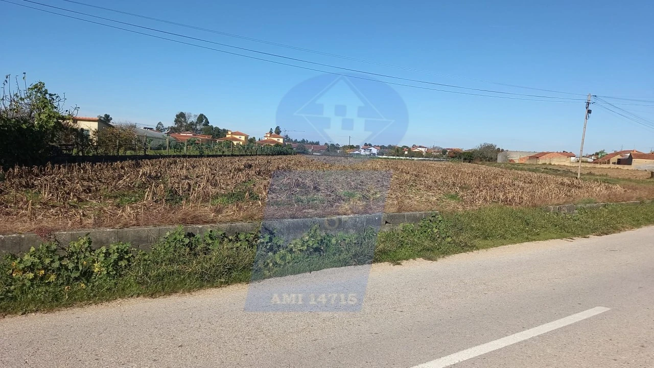 Terreno para Venda em Oiã Foto 3