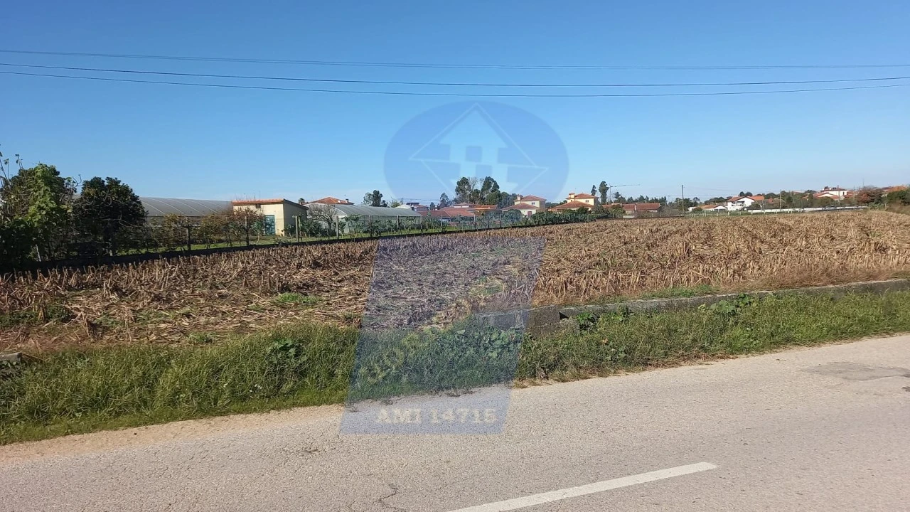 Terreno para Venda em Oiã Foto 2