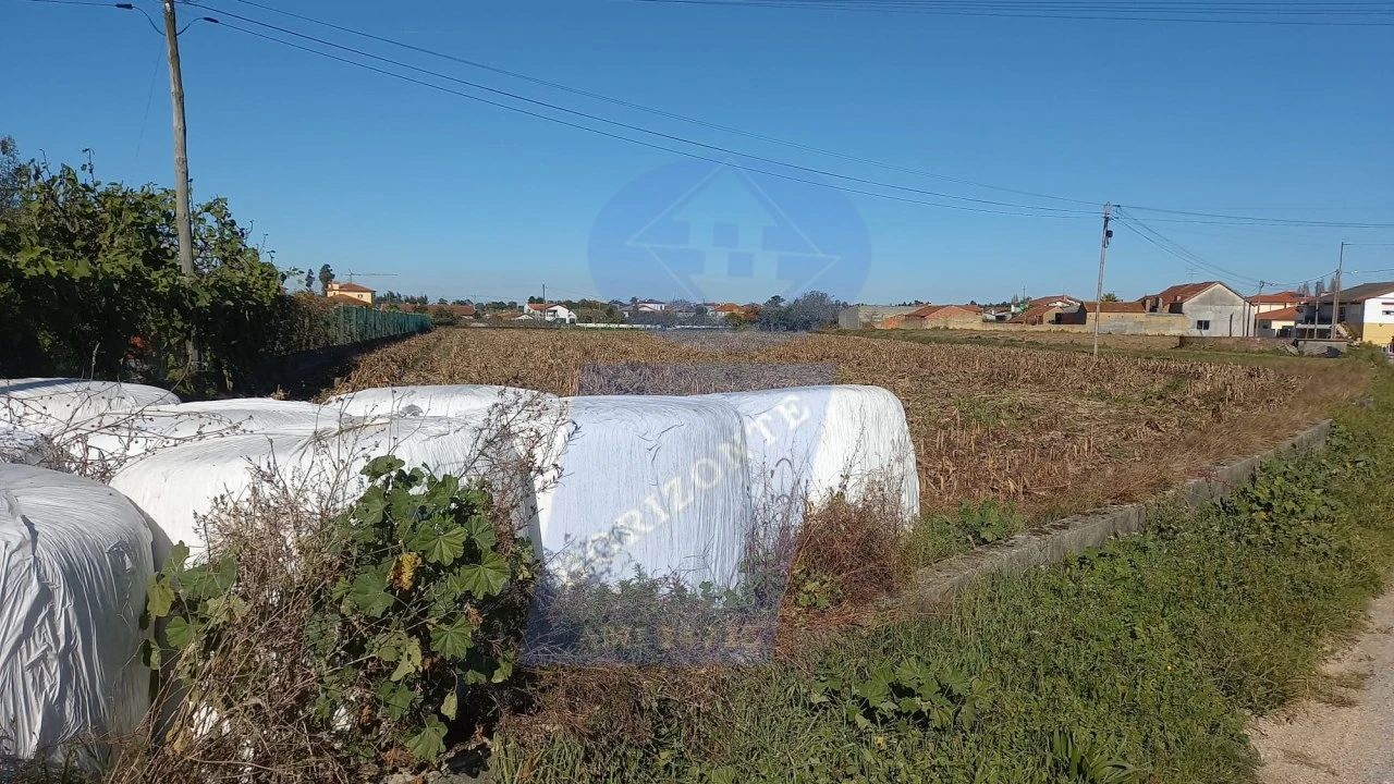 Terreno para Venda em Oiã Foto 6