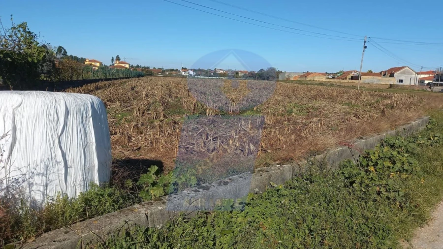 Terreno para Venda em Oiã Foto 4