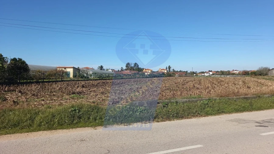 Terreno para Venda em Oiã Foto 1