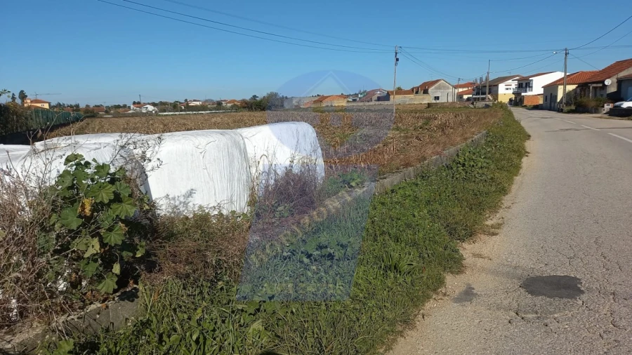 Terreno para Venda em Oiã Foto 5