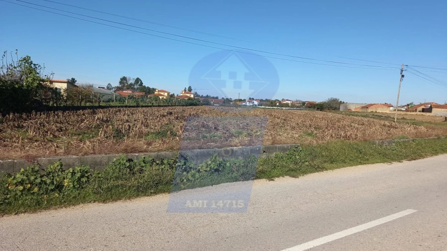 Terreno para Venda em Oiã Foto 3