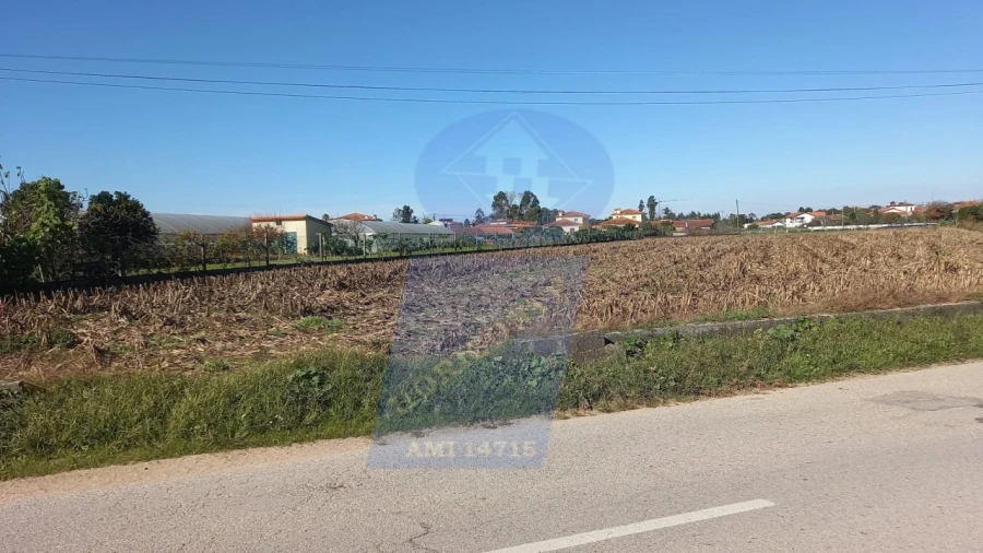 Terreno para Venda em Oiã Foto 2