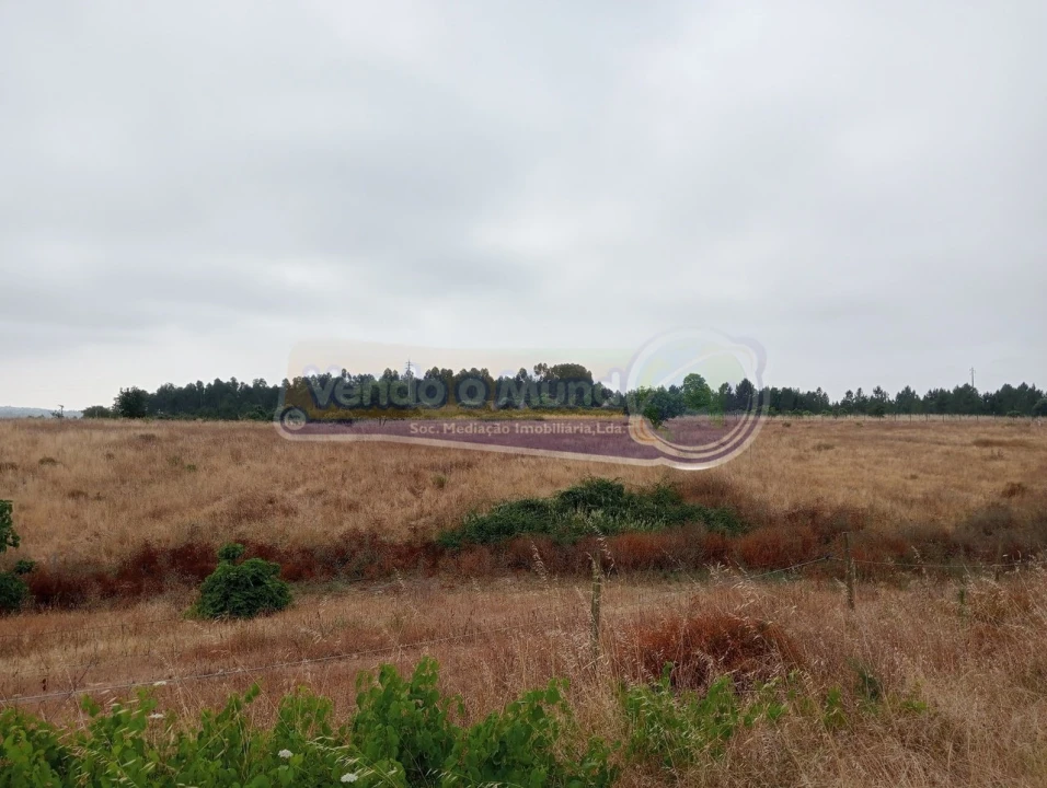 Terreno para Venda em Glória do Ribatejo e Granho Foto 1