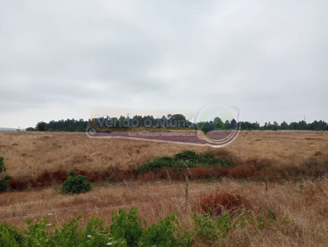 Terreno para Venda em Glória do Ribatejo e Granho Foto 1