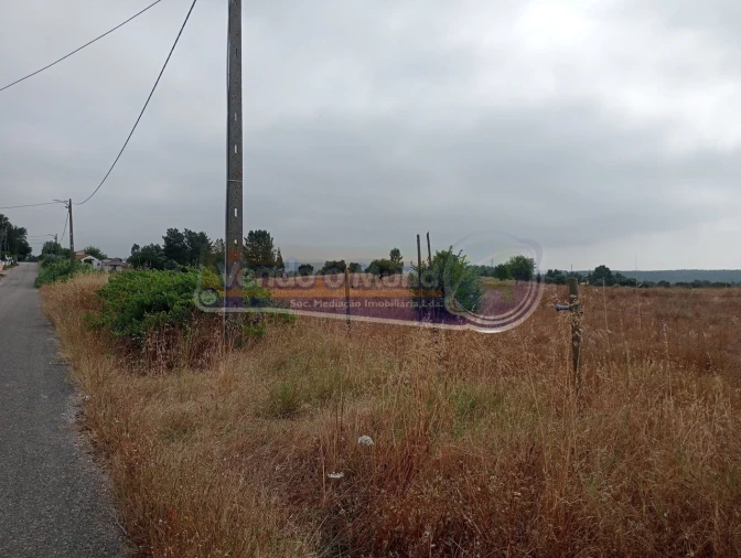 Terreno para Venda em Glória do Ribatejo e Granho Foto 4