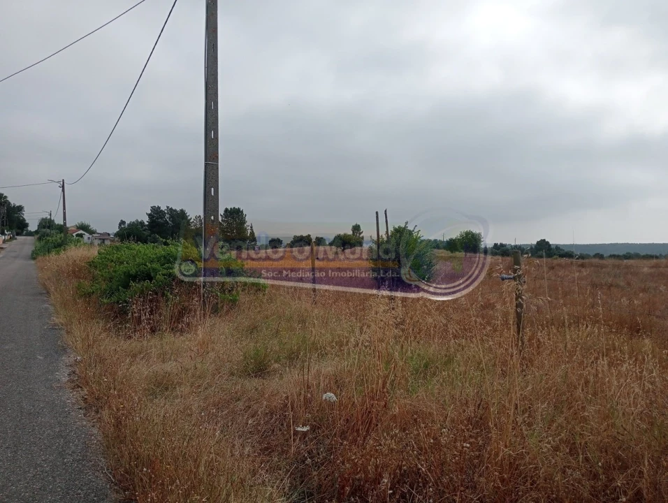 Terreno para Venda em Glória do Ribatejo e Granho Foto 4