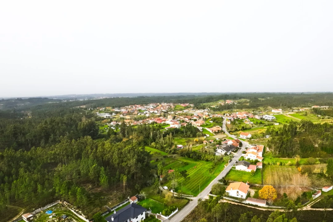 Terreno para Venda em São Martinho de Árvore e Lamarosa Foto 4