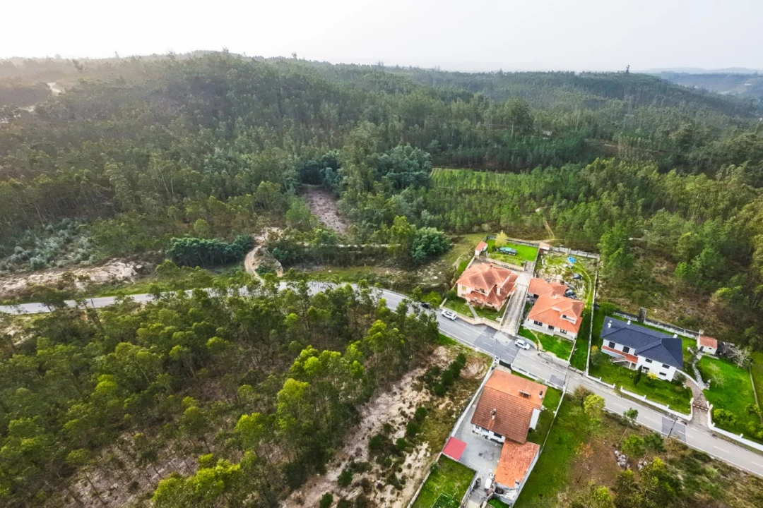Terreno para Venda em São Martinho de Árvore e Lamarosa Foto 6
