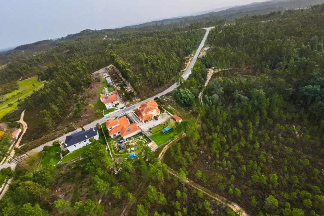 Terreno para Venda em São Martinho de Árvore e Lamarosa Foto 13