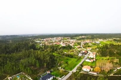 Terreno para Venda em São Martinho de Árvore e Lamarosa
