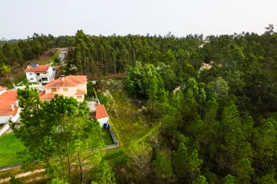 Terreno para Venda em São Martinho de Árvore e Lamarosa