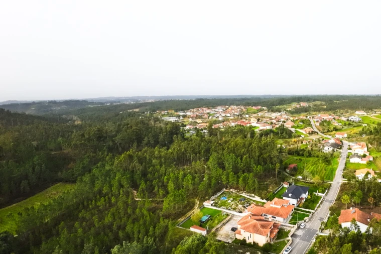 Terreno para Venda em São Martinho de Árvore e Lamarosa Foto 2