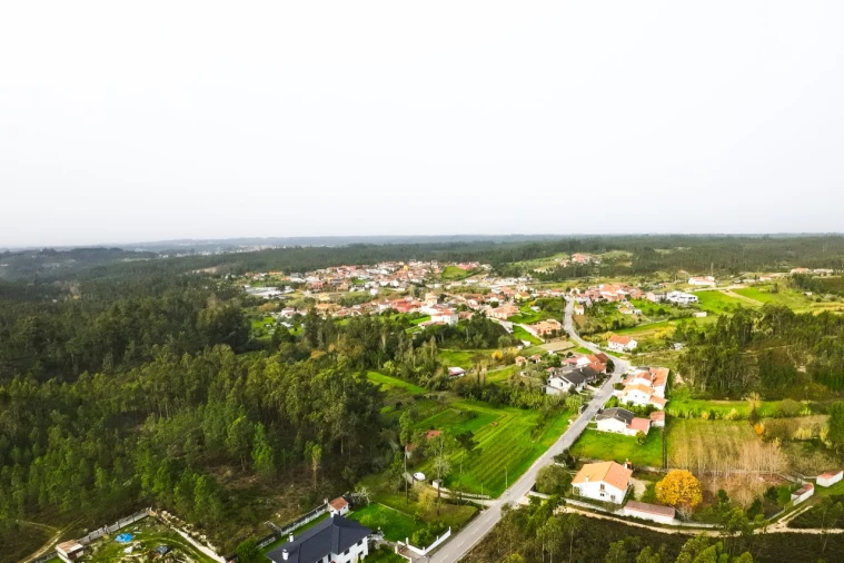 Terreno para Venda em São Martinho de Árvore e Lamarosa Foto 4