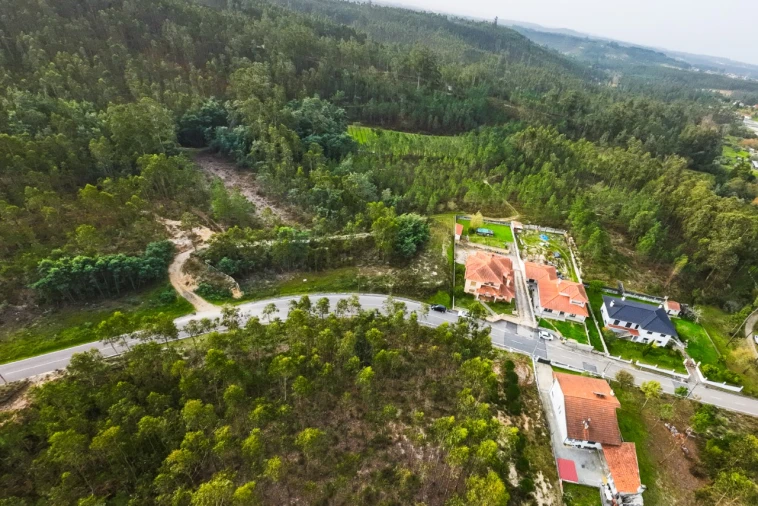 Terreno para Venda em São Martinho de Árvore e Lamarosa Foto 7