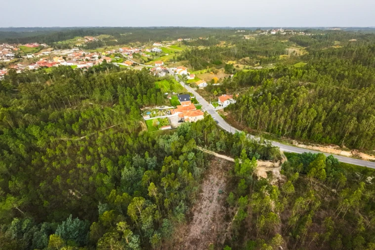 Terreno para Venda em São Martinho de Árvore e Lamarosa Foto 9