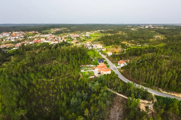 Terreno para Venda em São Martinho de Árvore e Lamarosa Foto 10