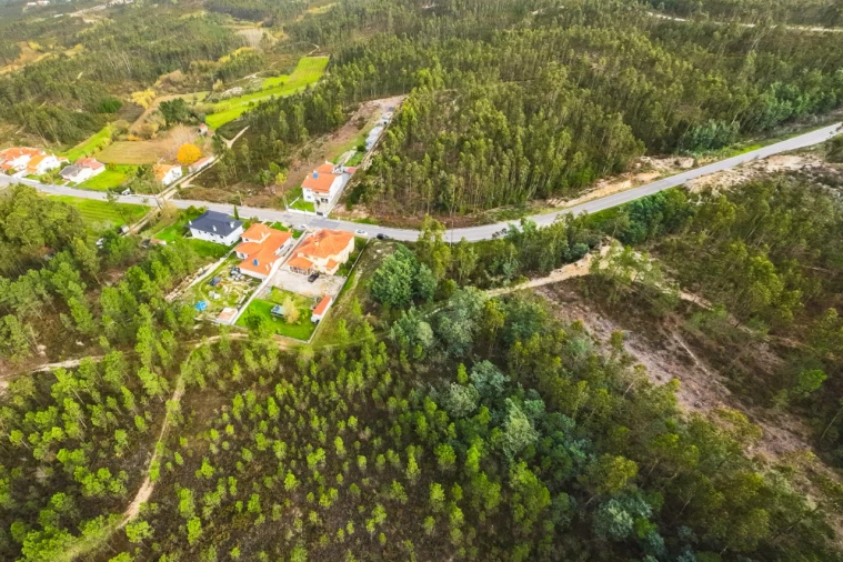 Terreno para Venda em São Martinho de Árvore e Lamarosa Foto 11