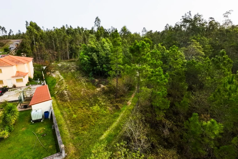 Terreno para Venda em São Martinho de Árvore e Lamarosa Foto 14