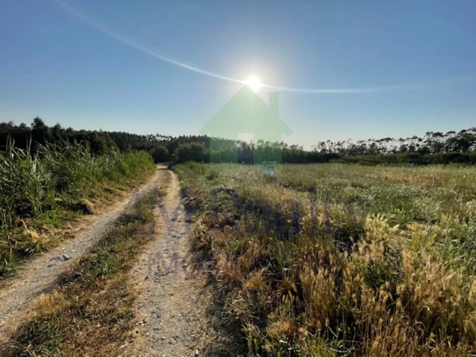 Terreno Agricola ou Rústico para Venda em São Bartolomeu dos Galegos e Moledo Foto 4