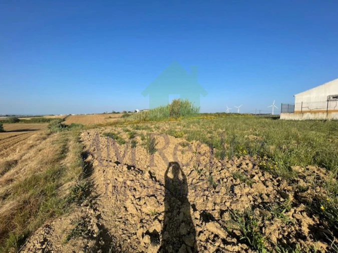Terreno Agricola ou Rústico para Venda em São Bartolomeu dos Galegos e Moledo Foto 3