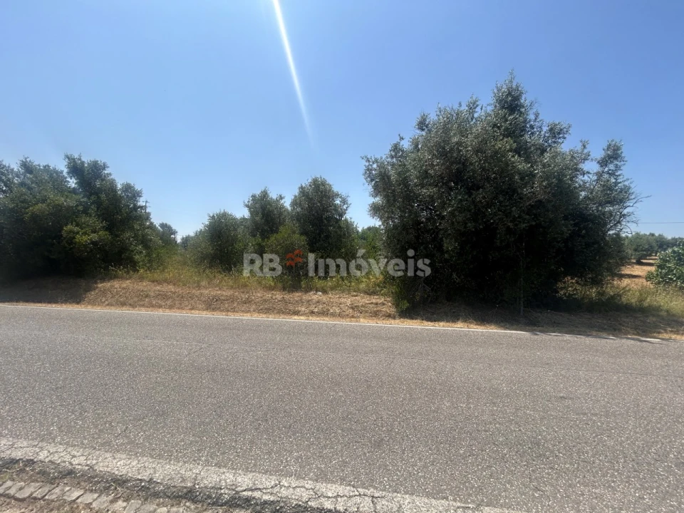 Terreno para Venda em Assentiz Foto 4